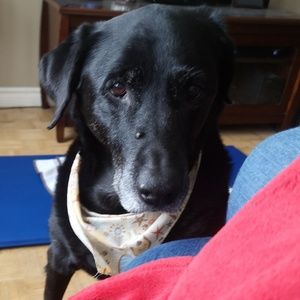 Meet your Posher, Émilie